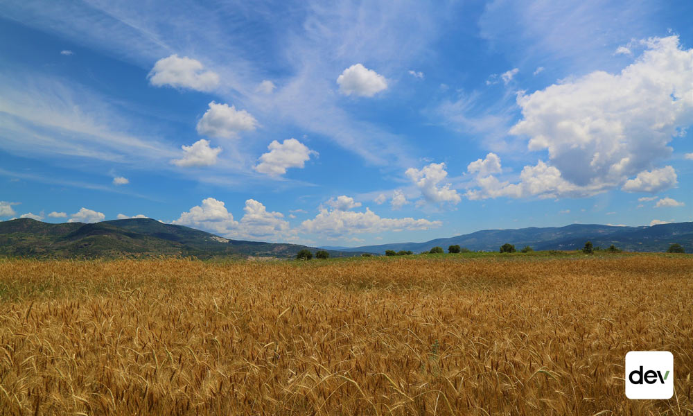 Agricultural land