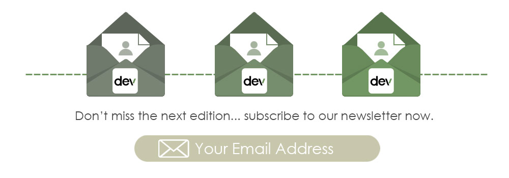 Email newsletter subscription